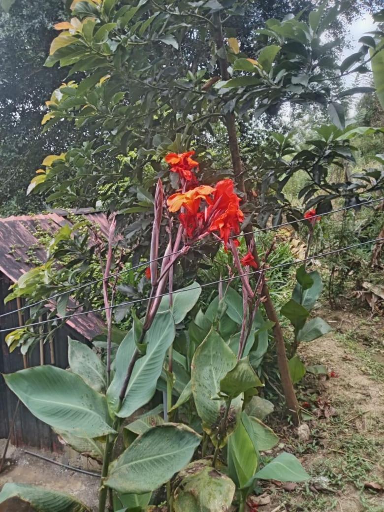 Ella Deck Villa Dış mekan fotoğraf